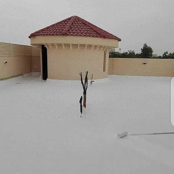 بناء مبنى سكني من الأساس - حي الربيع